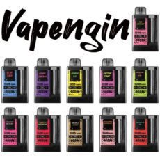 Vapengin Rechargeable Disposable 5500 puff