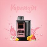 Vapengin Rechargeable Disposable 5500 puff