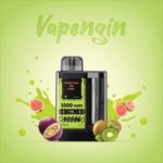 Vapengin Rechargeable Disposable 5500 puff