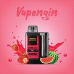 Vapengin Rechargeable Disposable 5500 puff