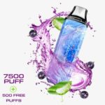 Tropic Bar 8000 Puffs