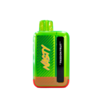 Nasty Bar 9000 Puffs